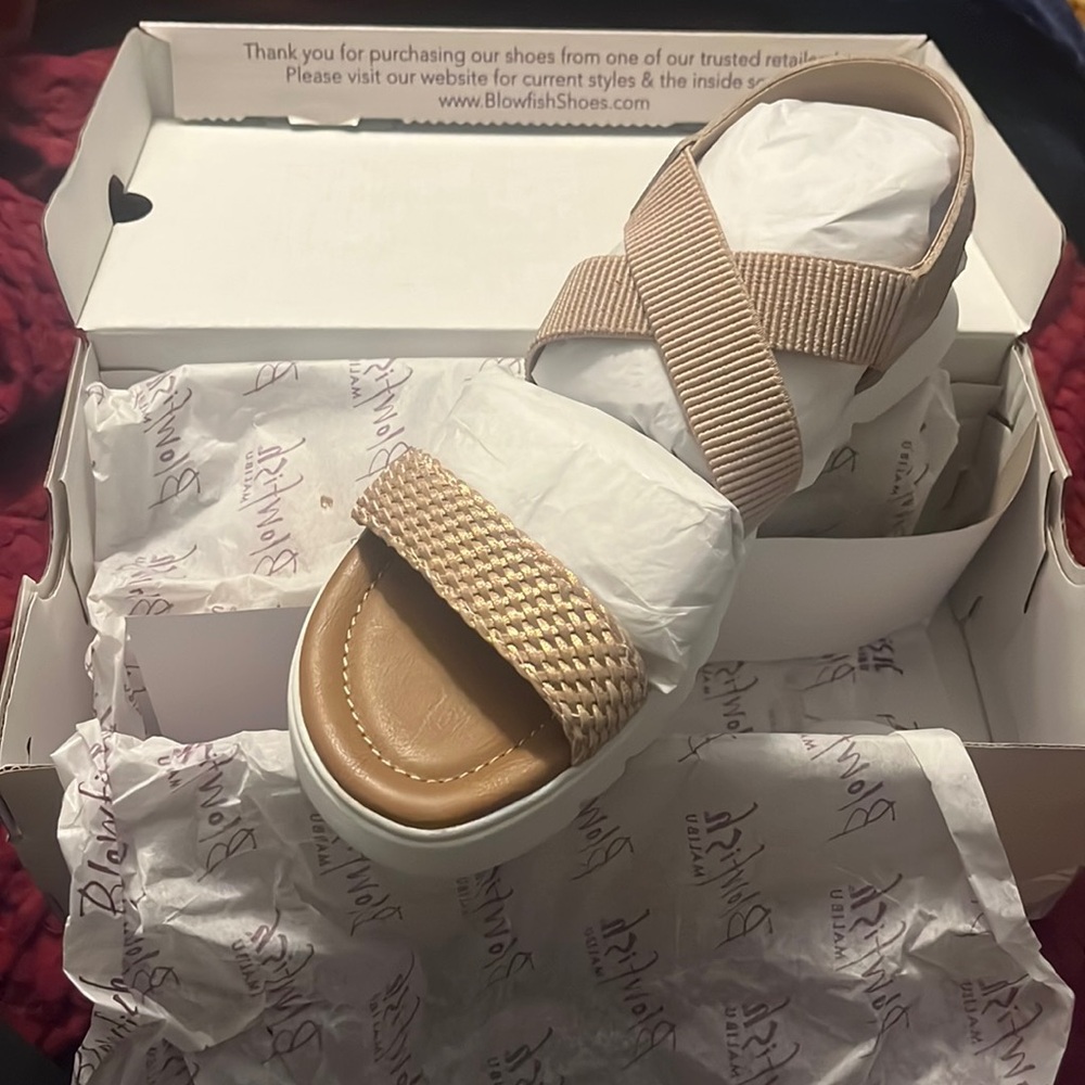 New with Box Blowfish Sandals!!